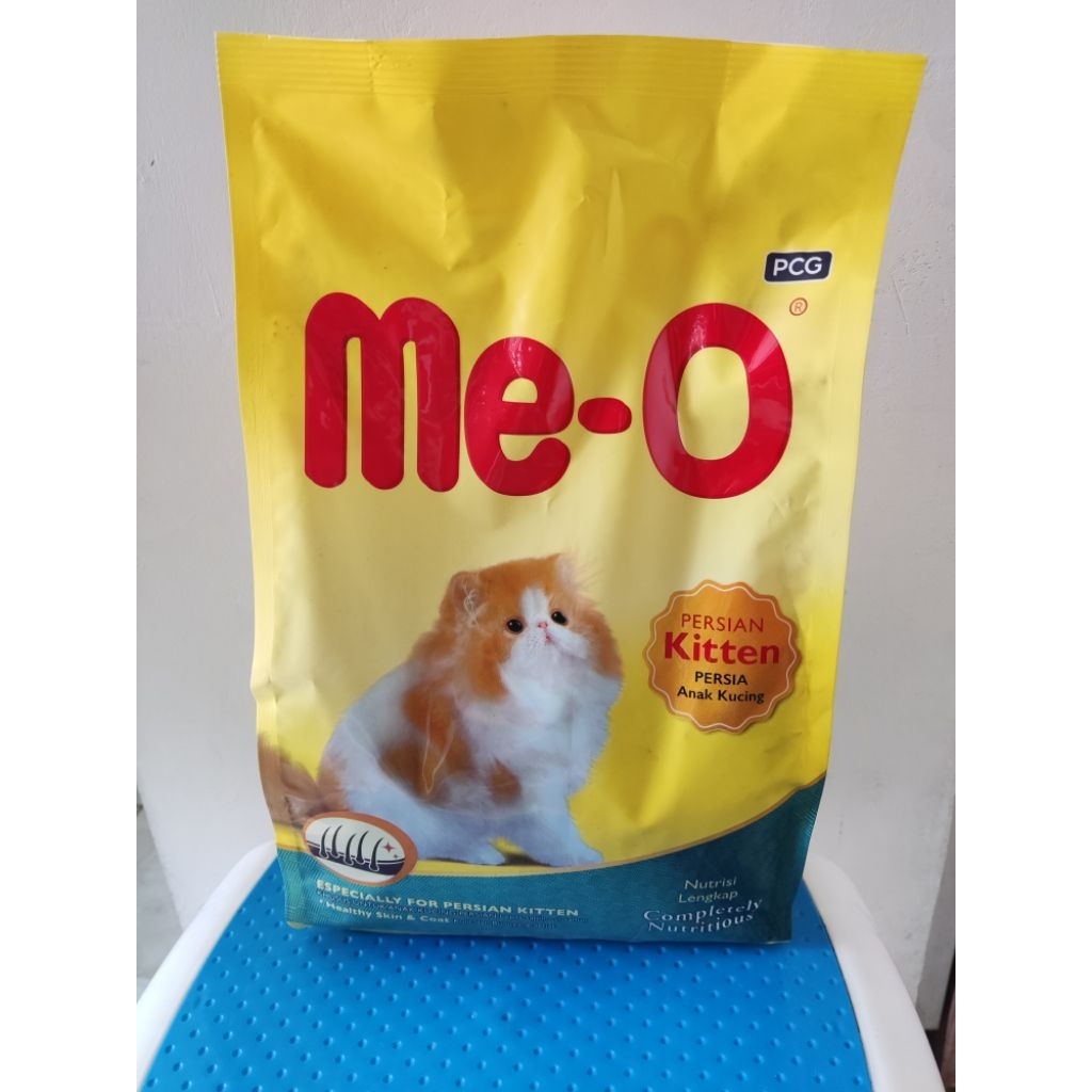 Meo persian kitten