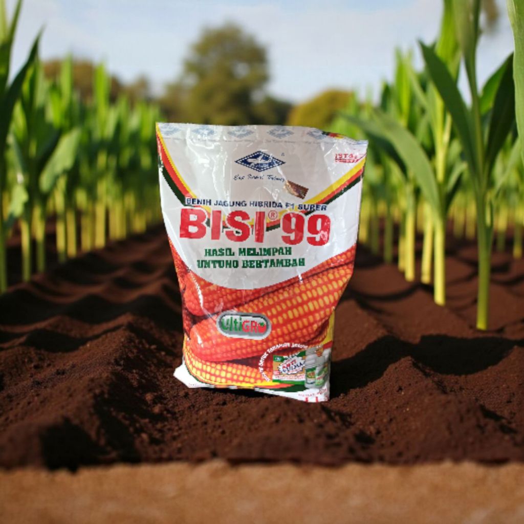BISI 99 benih jagung hibrida F1 Super