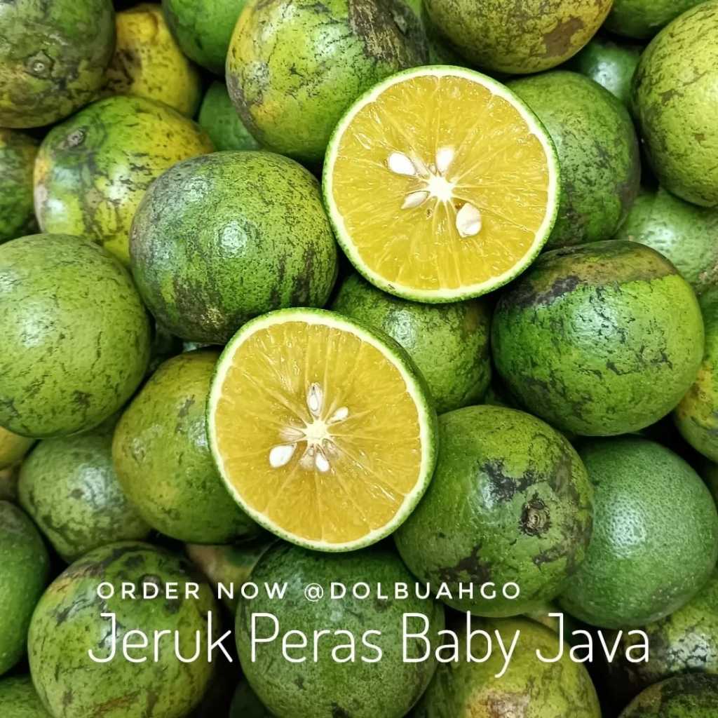 Jeruk Baby Java Peras Potong Manis Segar Premium - Dolbuah
