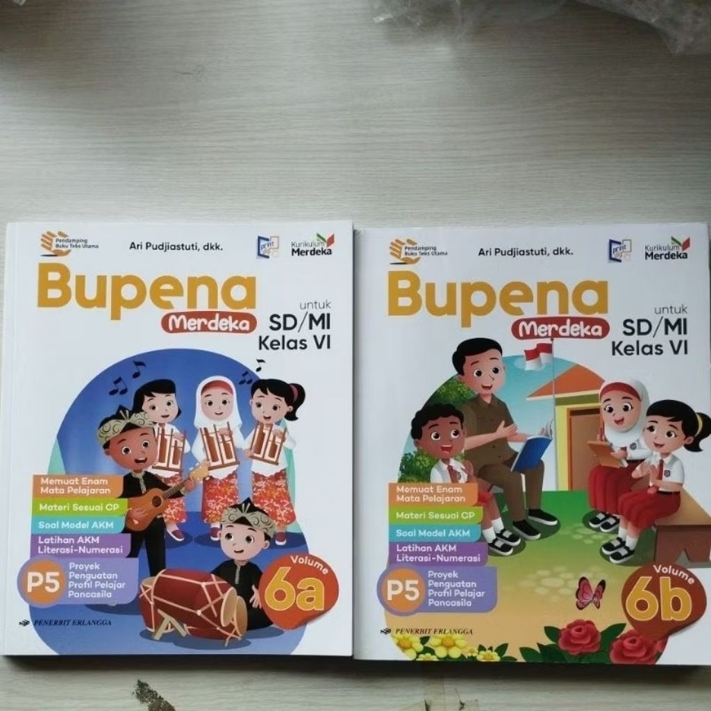 BUPENA KELAS 6, ERLANGGA