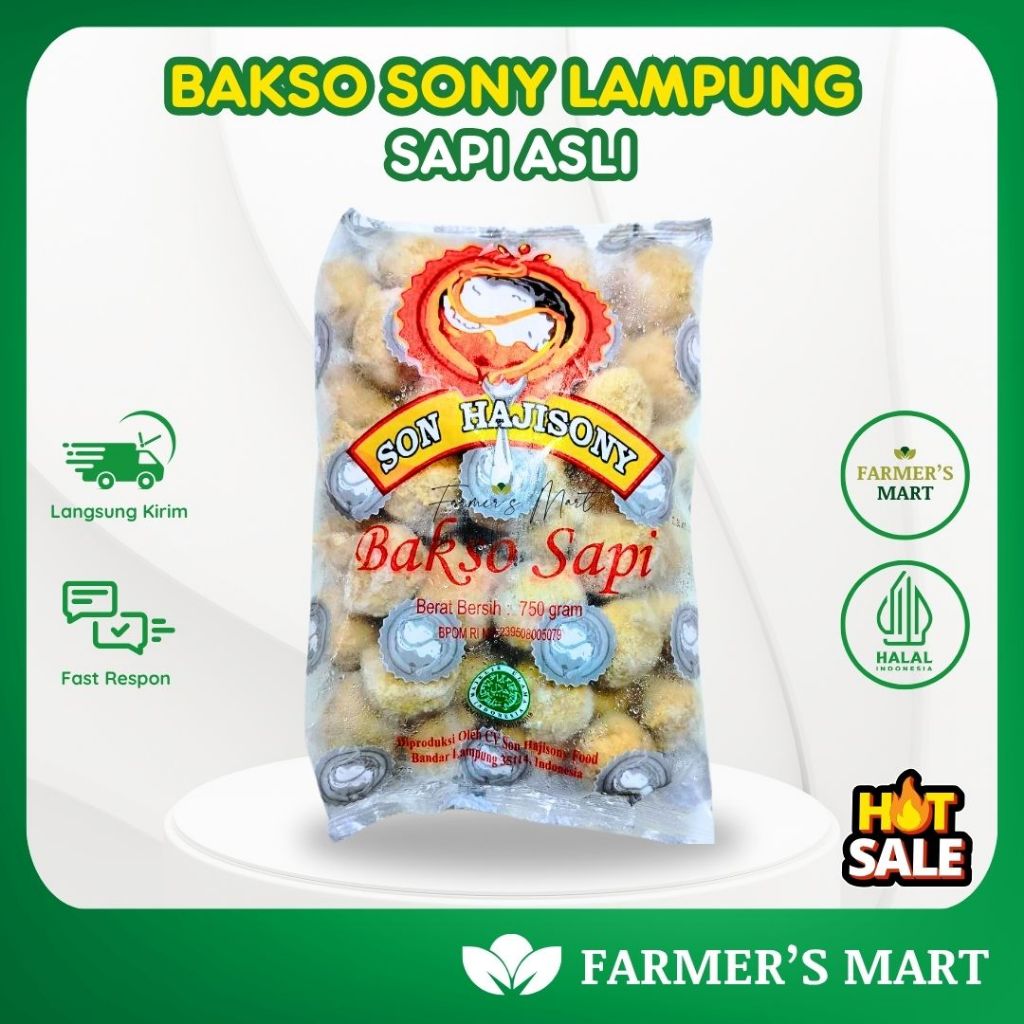 Bakso Sony Lampung Asli Original Sapi 750 gr Free Bumbu Bakso Frozen-Mozaik Frozen Mart Palembang