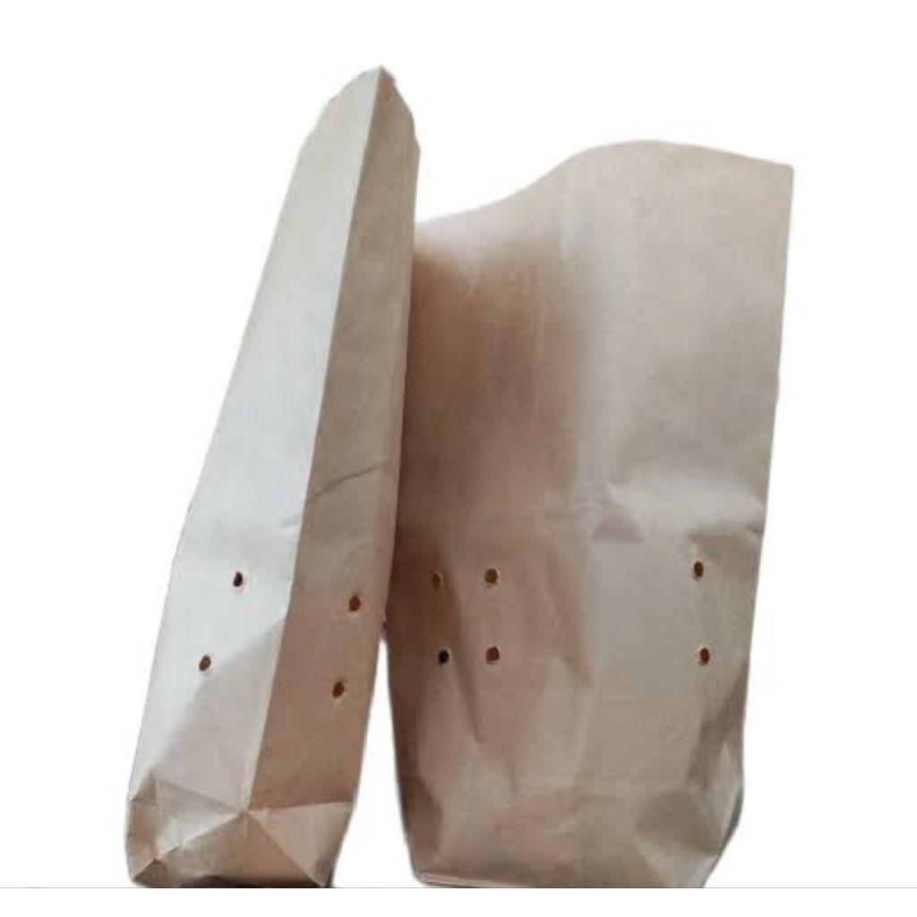 KANTONG BURUNG ISI 100//KANTONG SEMEN//KANTONG KERTAS // KANTONG BERAS // KANTONG KOPI //KANTONG TEP