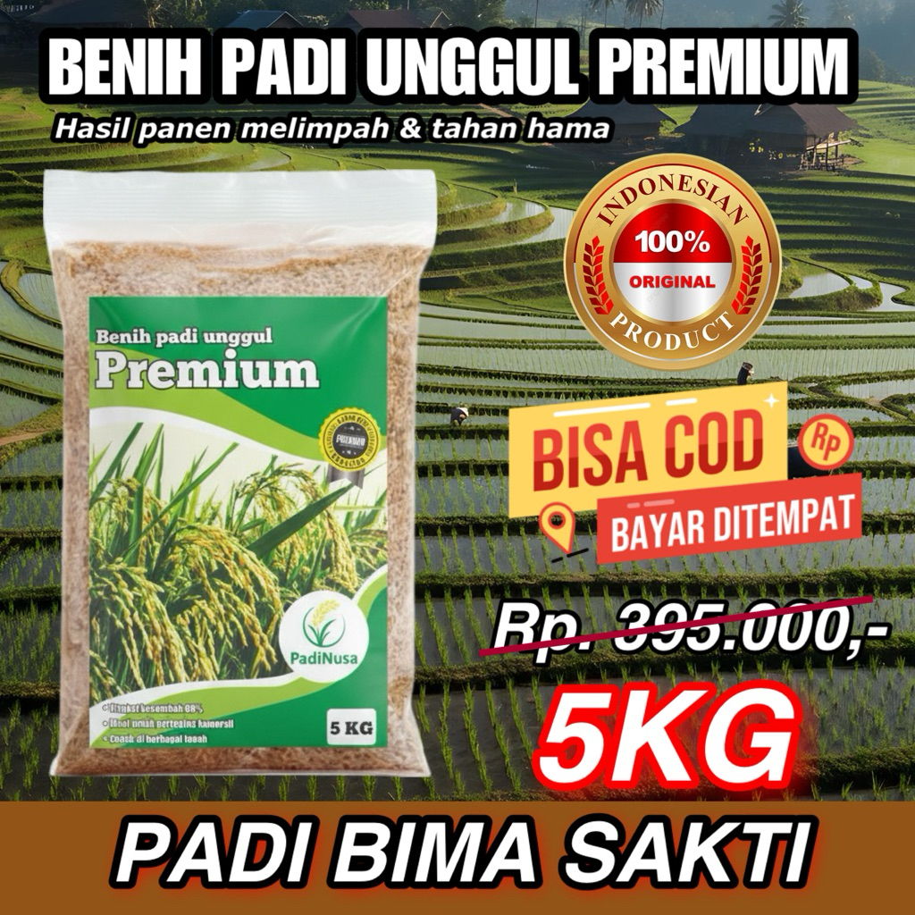 PadiNusa - Bibit Padi Unggul Bima Sakti 5kg Berkualitas / Anti Hama / Anti Roboh
