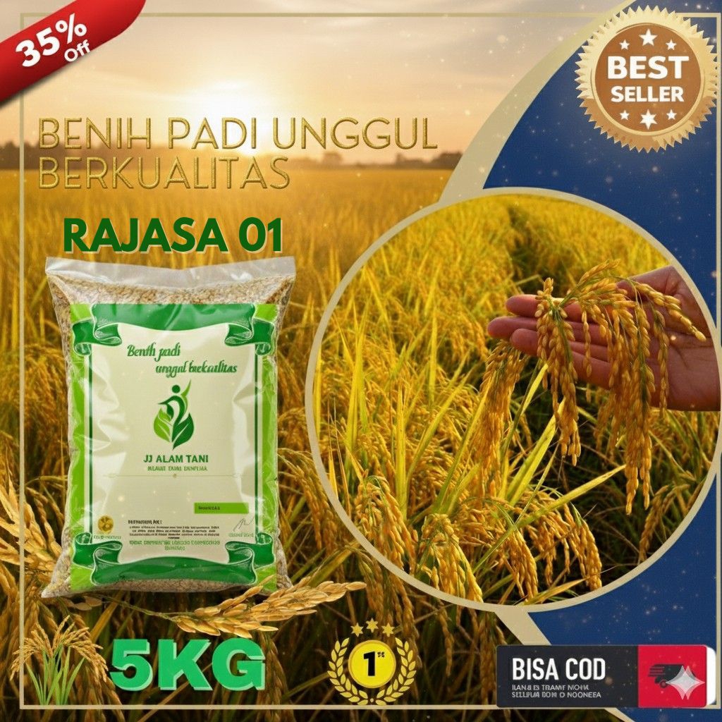 BENIH PADI RAJASA 01 5KG-UNGGUL,BULIR 800-1000,PULEN,TAHAN PENYAKIT  USTILAGO DAN WERENG