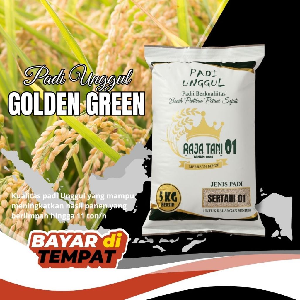 benih padi unggul kualitas premium golden green asli tahan hama wereng