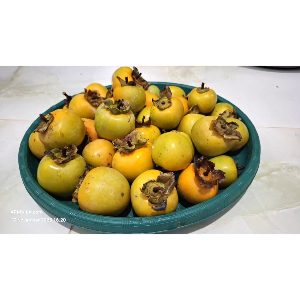 Buah Kesemek Segar Grosir 5kg Persimmon Fresh Buah Genit Antioksidan