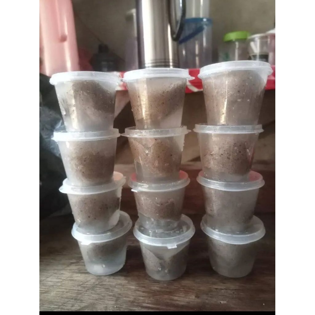 TERMURAH GETAH PULUT TERBUAT DARI GETAH BENDO SIAP PAKAI ANTI LELEH DAN ANTI LALAT TIDAK MERUSAK BUL