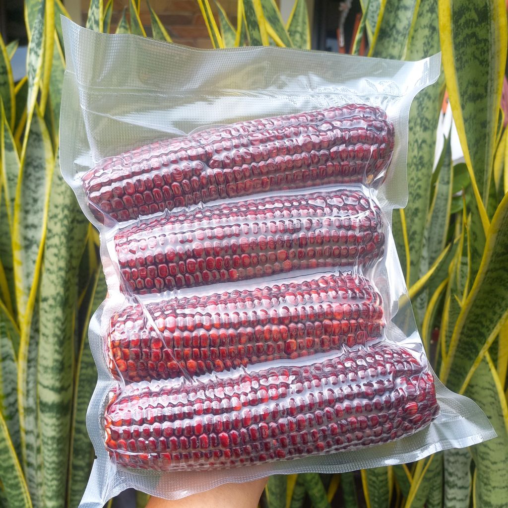 Jagung Ketan Ungu Vacum 1 KG