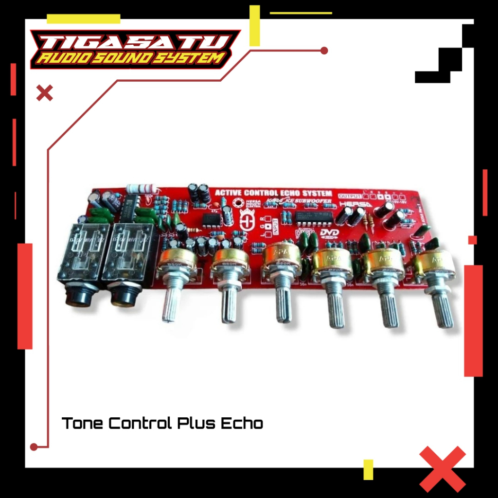 Tone Control Plus Echo Stereo Subwoofer Mic