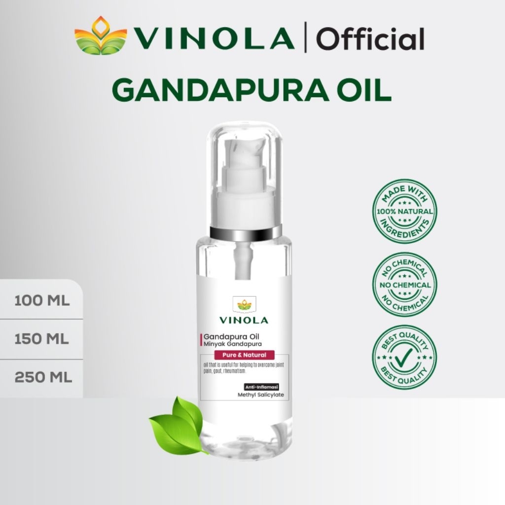 VINOLA Gandapura Oil - Minyak Gandapura, Pereda Nyeri