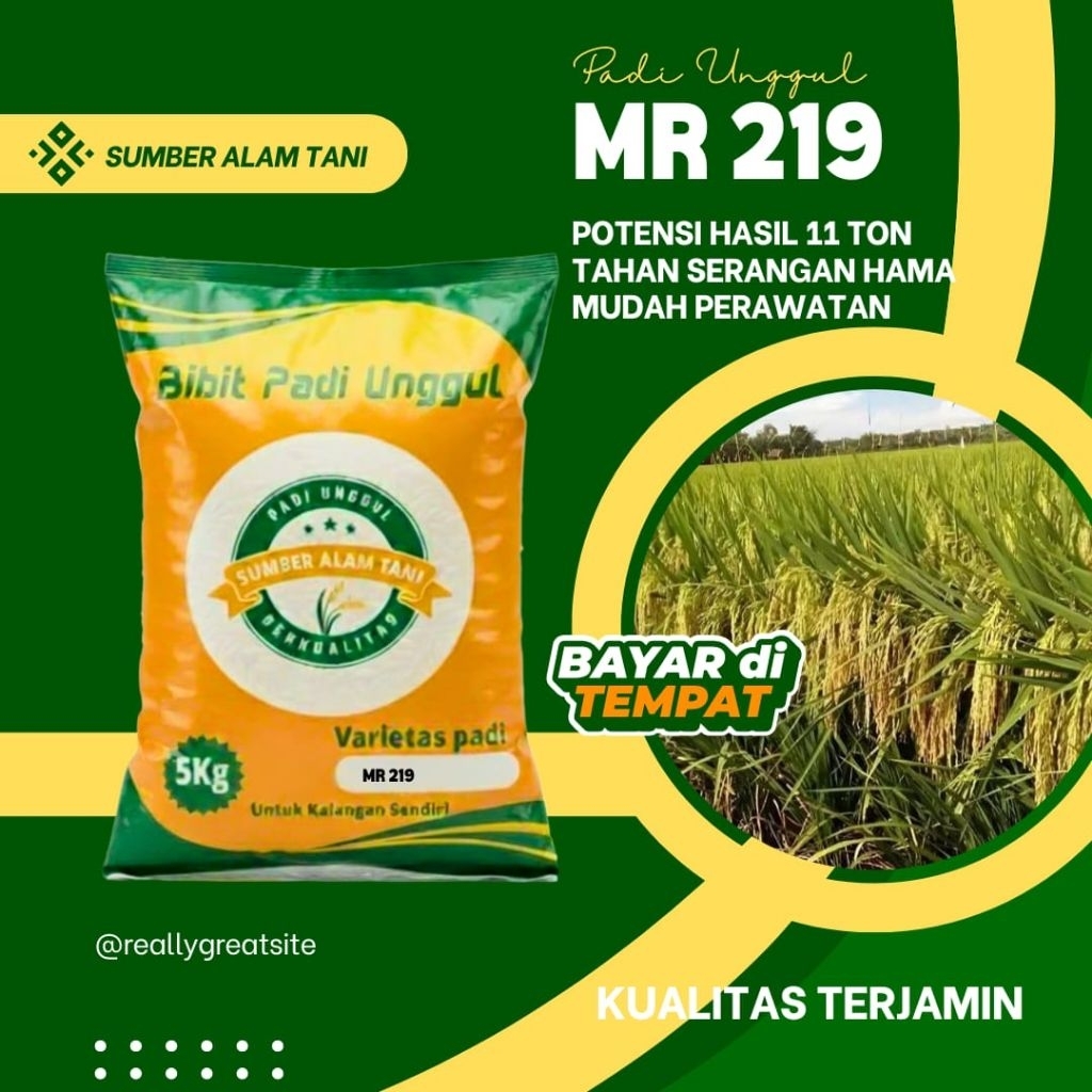 bibit padi unggul MR 219 kemasan 5 kg
