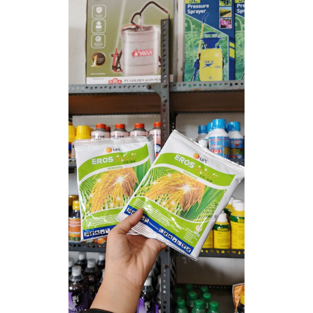 Eros gold 100 gram