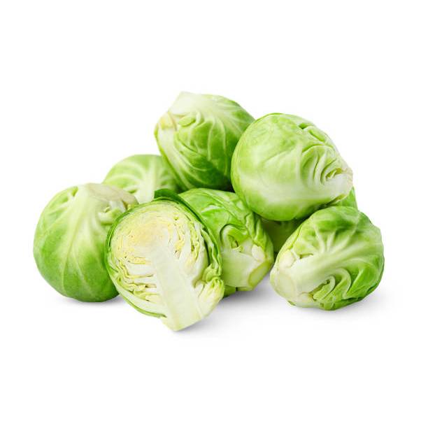 SUBUR BIBIT KUBIS MINI