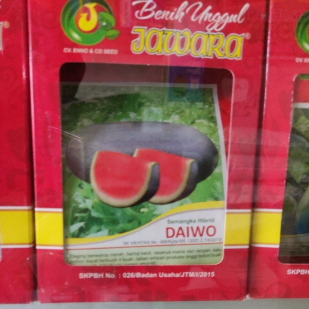 JAWARA_(Kecil)4-10GR