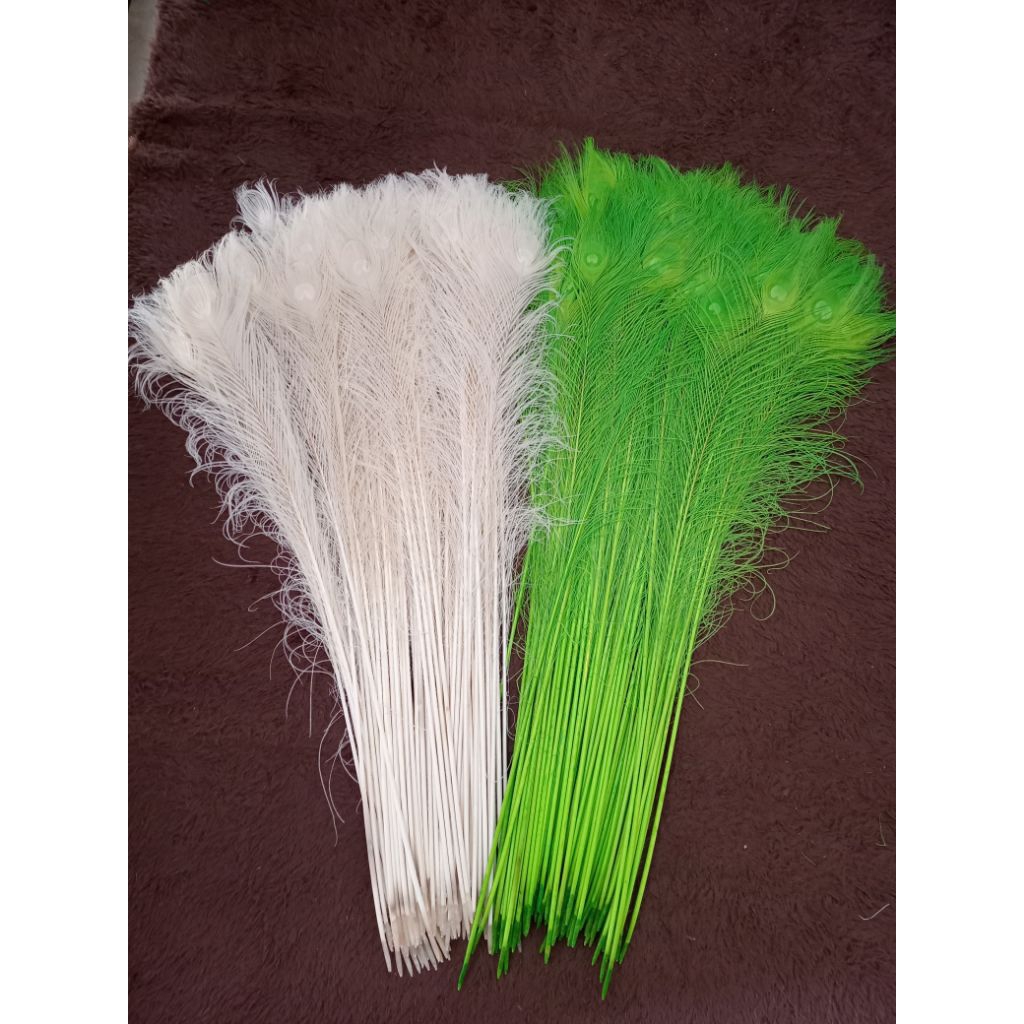 10 pcs Bulu merak putih replika/dekorasi