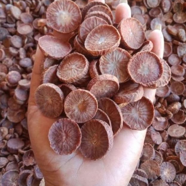 Pinang Muda Iris Kering 1Kg - Jambe Muda Iris Kering