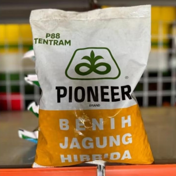 BENIH JAGUNG HIBRIDA PIONEER P88 TENTRAM KEMASAN 1KG ORIGINAL