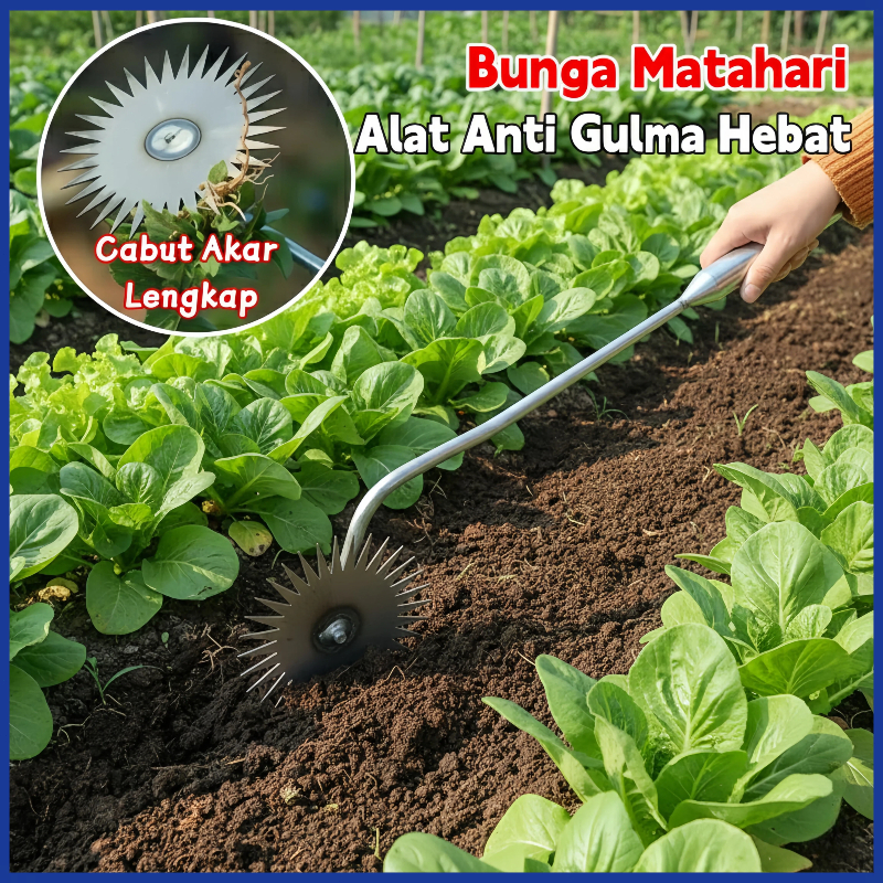 Alat Penyiang Gulma Pencabut Rumput Gagang Panjang Alat Pertanian Kebun Penggembur Tanah
