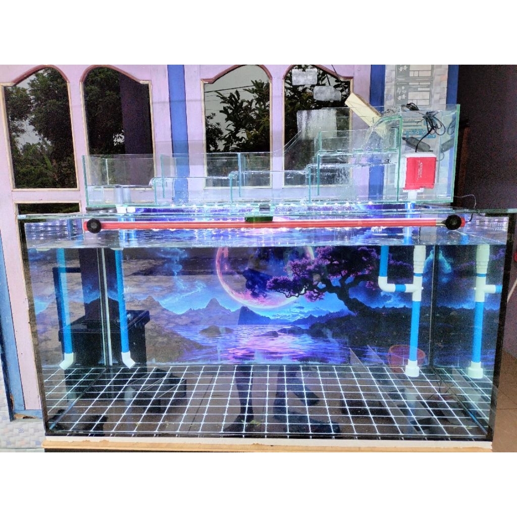 akuarium 100x50x50  kaca 8mm