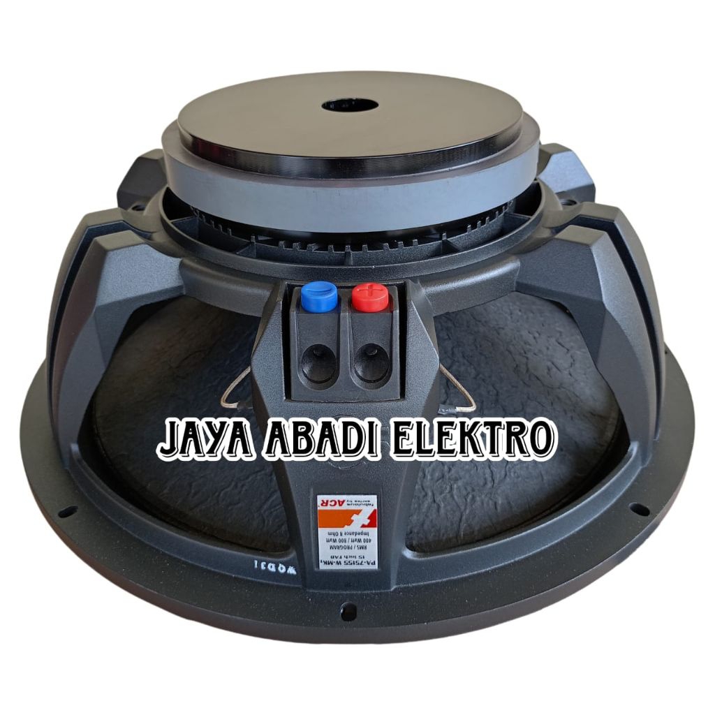 Speaker FABULOUS 15 inch PA 75155 W MK1