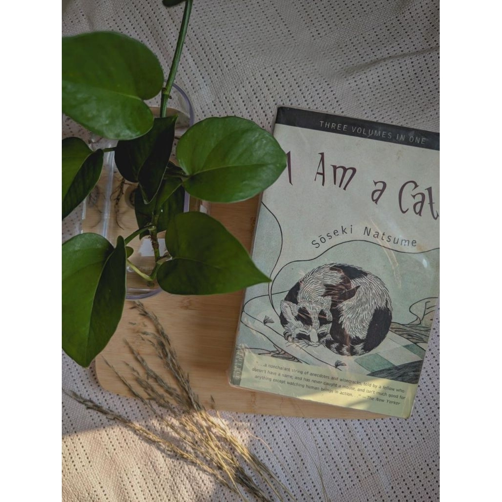 [Import, Preloved] Natsuke Soseki - I am a Cat