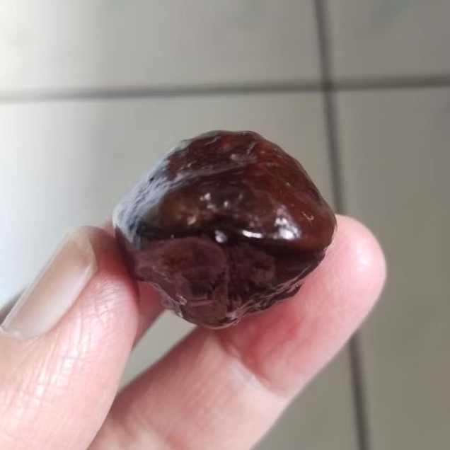 Kemiri Adu Muncang Adu Nyonyo ZT Ori Semiurgen Matang