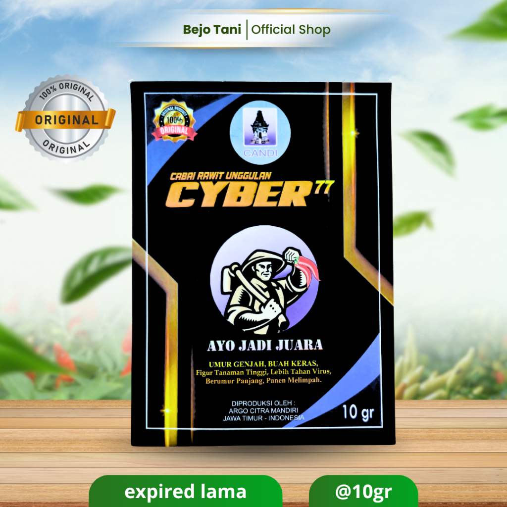 Benih Cabe CYBER 77 isi 10gr Bibit Saiber CYBER77 Tahan Virus Buah Lebat Original AGRO CITRA MANDIRI