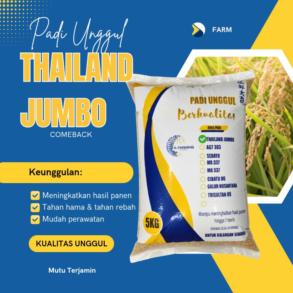 Benih bibit padi unggul Thailand Jumbo 5 kg