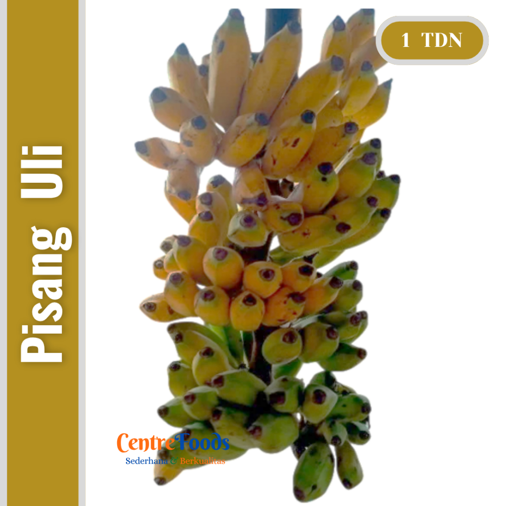Pisang Uli Segar - Buah Pisang Raja Uli Fresh | 1 Tandan - 5-7 Sisir [ Harga Per TANDAN ]