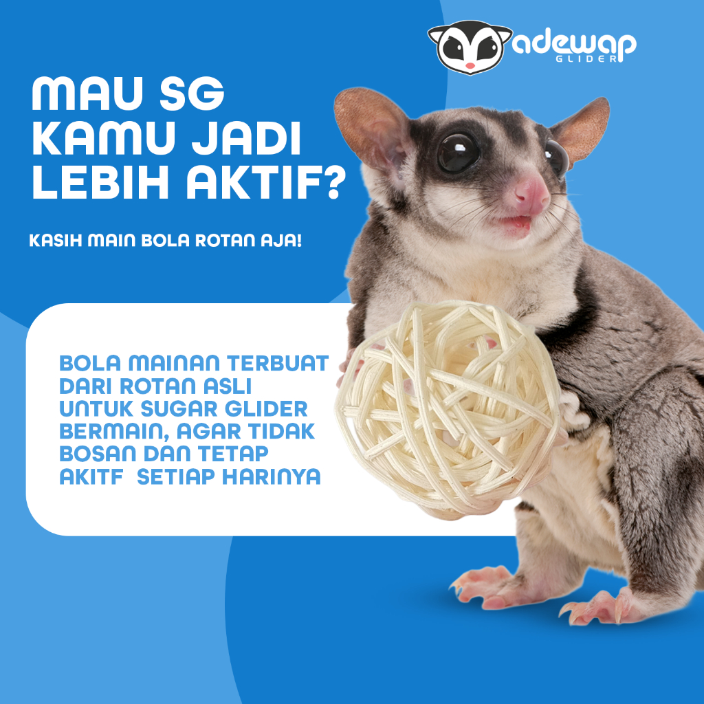 ADEWAP GLIDER Mainan Bola Rotan Aktivitas Harian Anti Bosan Sugar Glider