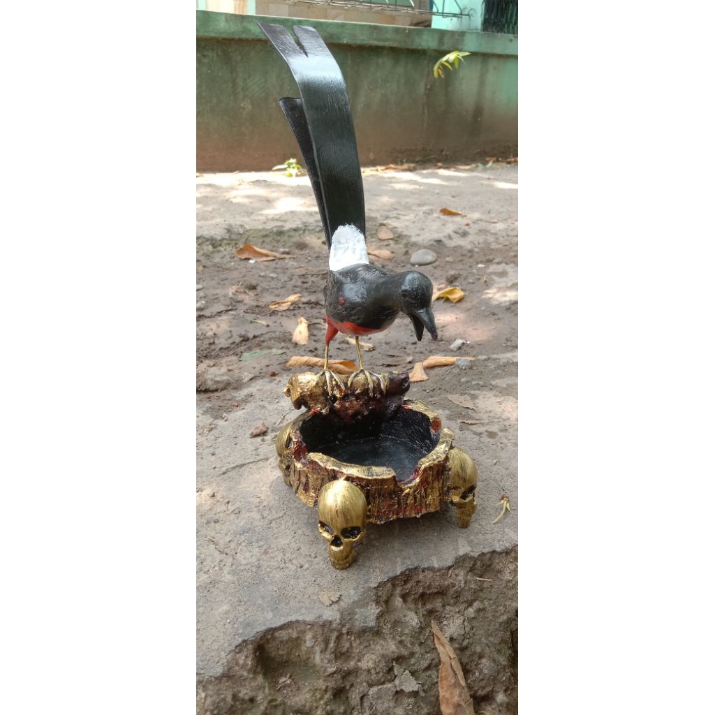 asbak murai tengkorak