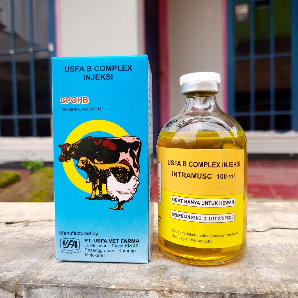 PREMIX - USFA B COMPLEX INJ - Vitamin B Kompleks Hewan Vitamin B Complex Ternak Sapi Kambing Domba A