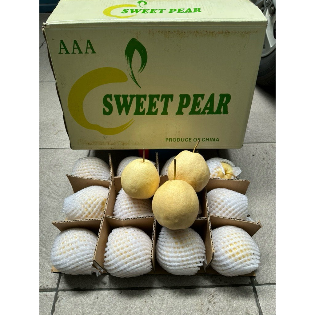 Buah Pir Madu Sweet Pear 1 Dus (10 Kg) Fresh Import