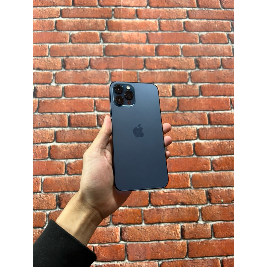 12 promax 256 blue second