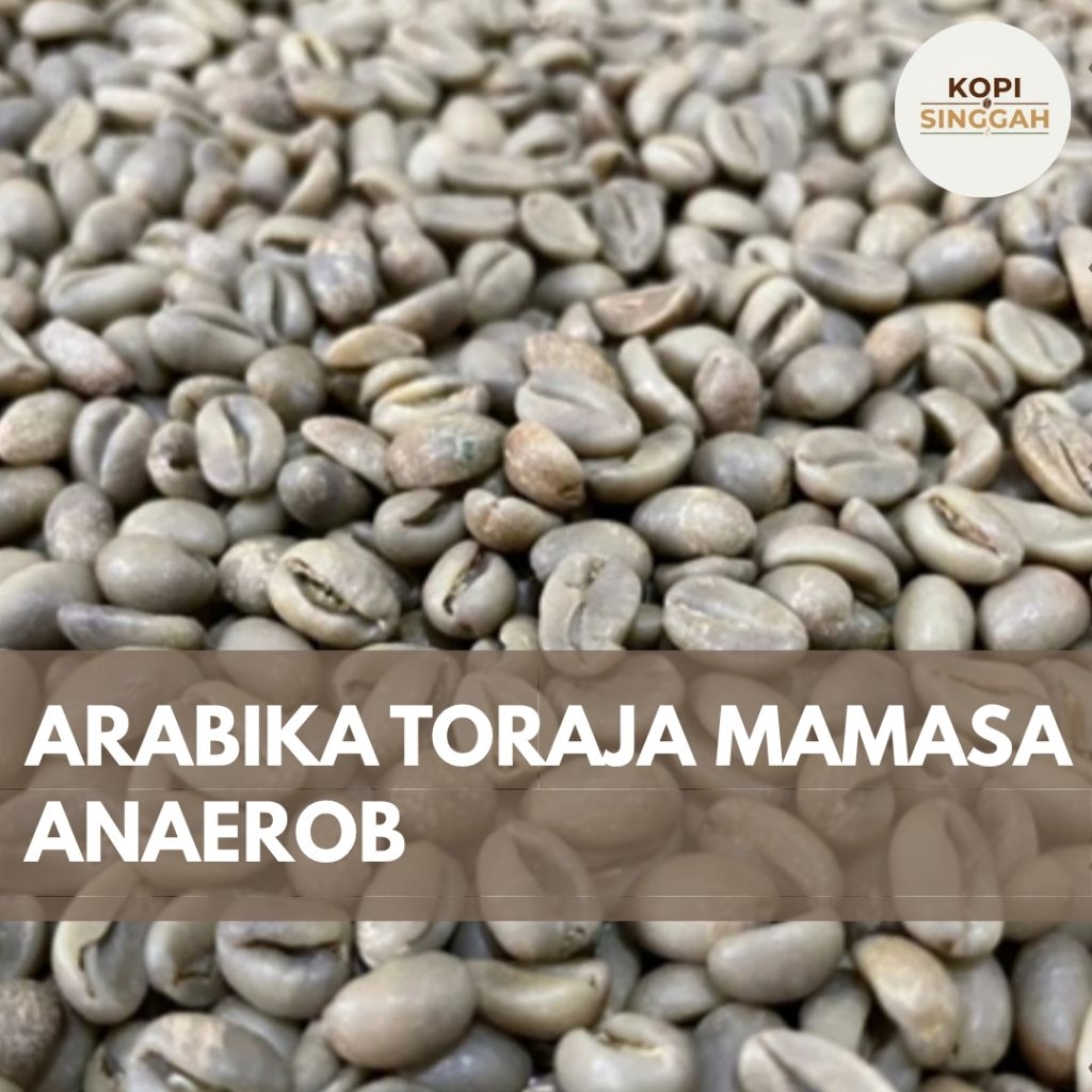 GreenBean Arabika Toraja Mamasa Anaerob Proses