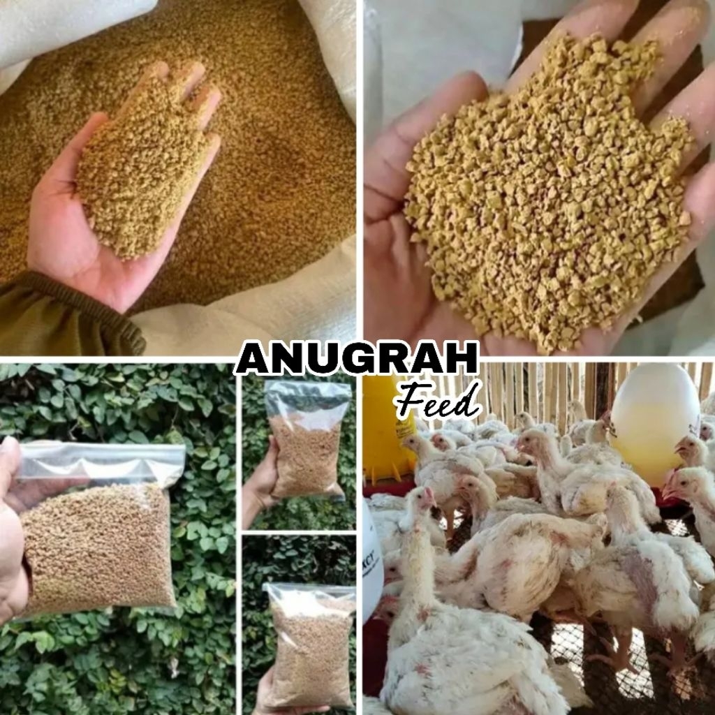 Terlaris 10kg Pur Ayam Pedaging Tinggi Protein ANUGRAH FEED