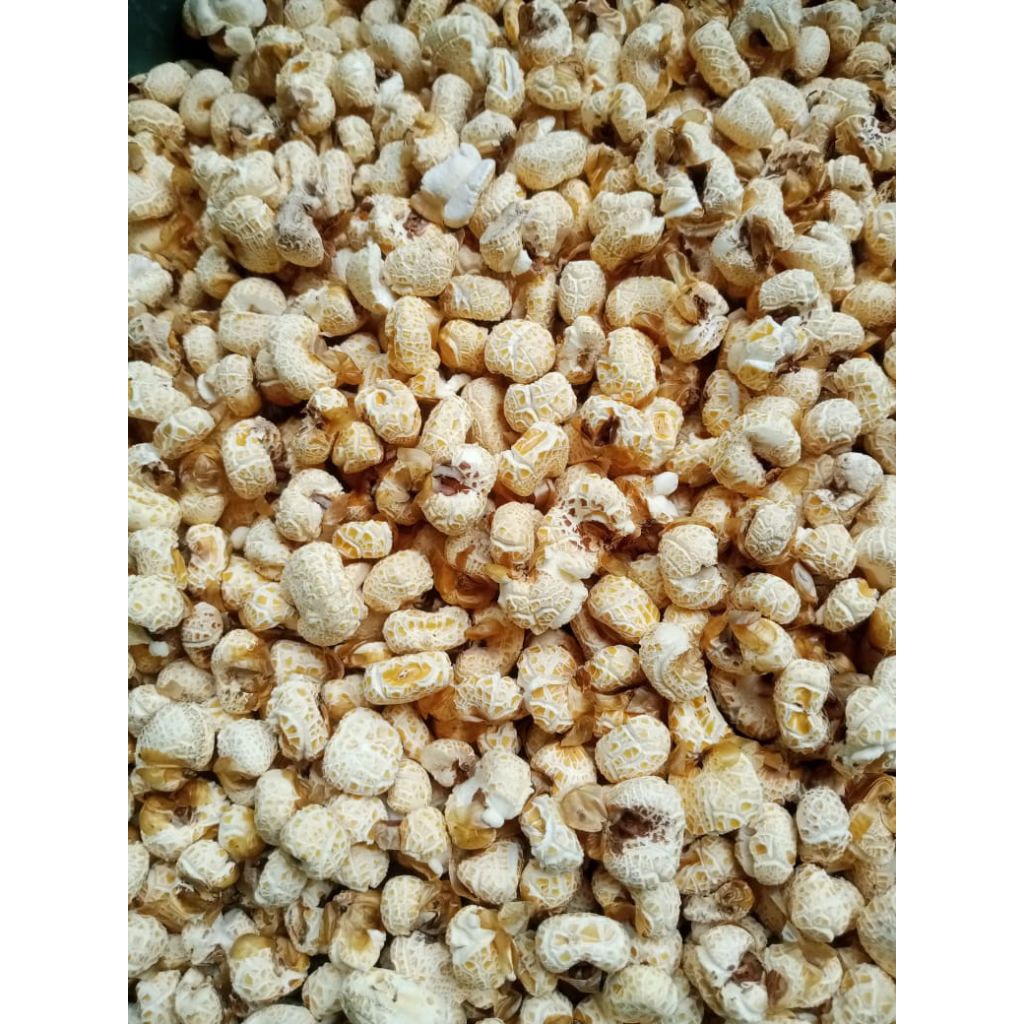 BRONDONG JAGUNG CEMILAN JADUL MURAH 500g Original