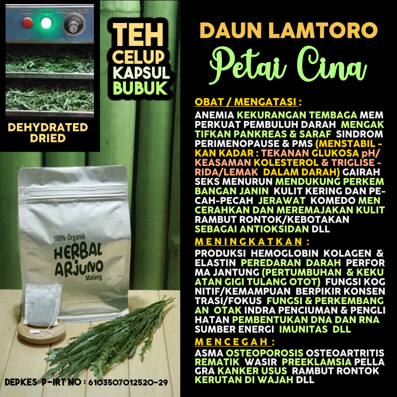 Dehydrated Dried Teh Celup Kapsul Bubuk Daun Petai Cina Lamtoro Obat Anemia Pankreas Saraf HB Hemogl