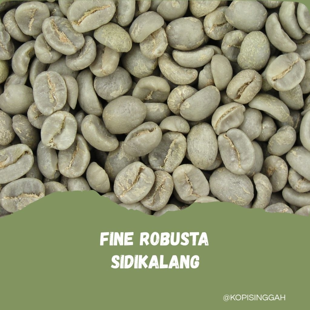 GreenBean FINE / NATURAL Robusta Sidikalang