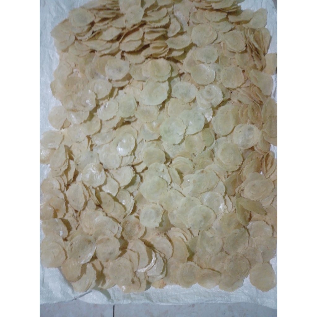 Emping Melinjo Mentah 100% Melinjo Asli Renyah Premium /Emping Melinjo Mentah Asli Kualitas Super