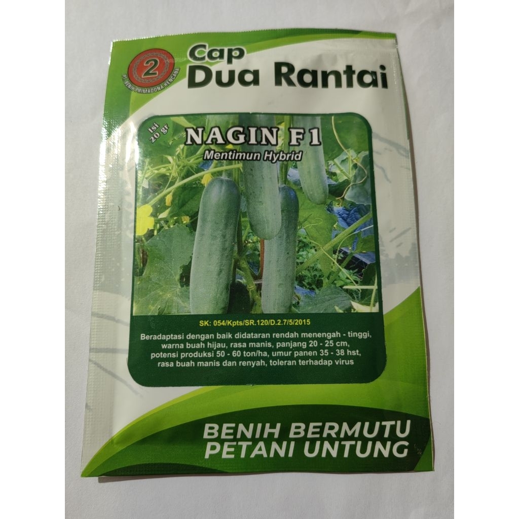 NAGIN F1 Benih timun isi 20g