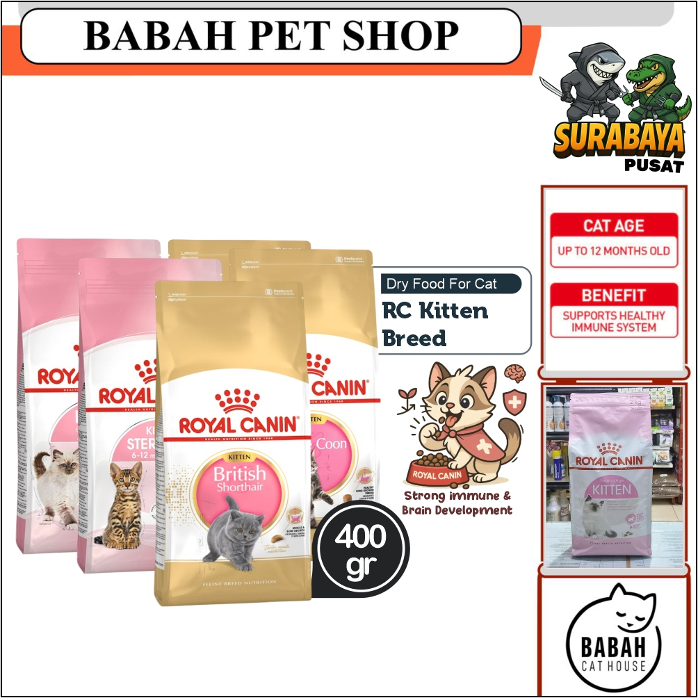 400gr ROYAL CANIN KITTEN BREED cat food persian british mainecoon sterilised makanan anak kucing rc 
