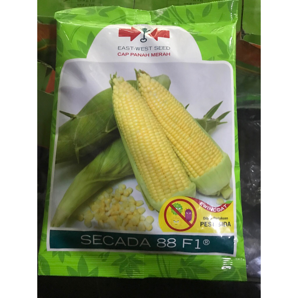 Benih Secada 88 F1 250 g (Jagung Manis)