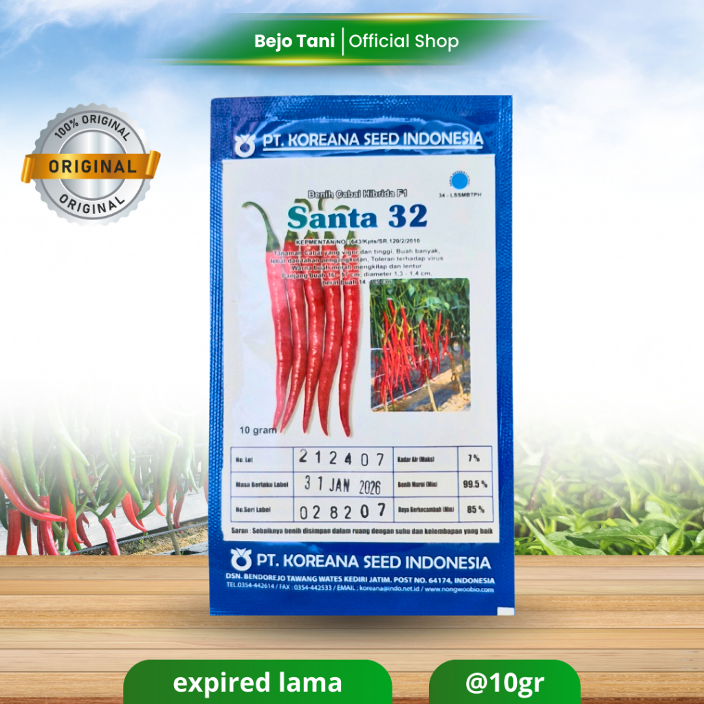 Benih Cabe Besar SANTA 32 isi 10gr Original PT Koreana Seed Indonesia