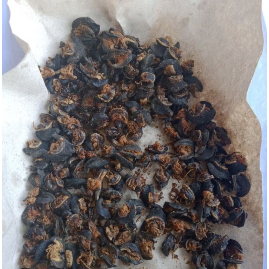 keripik bekicot original