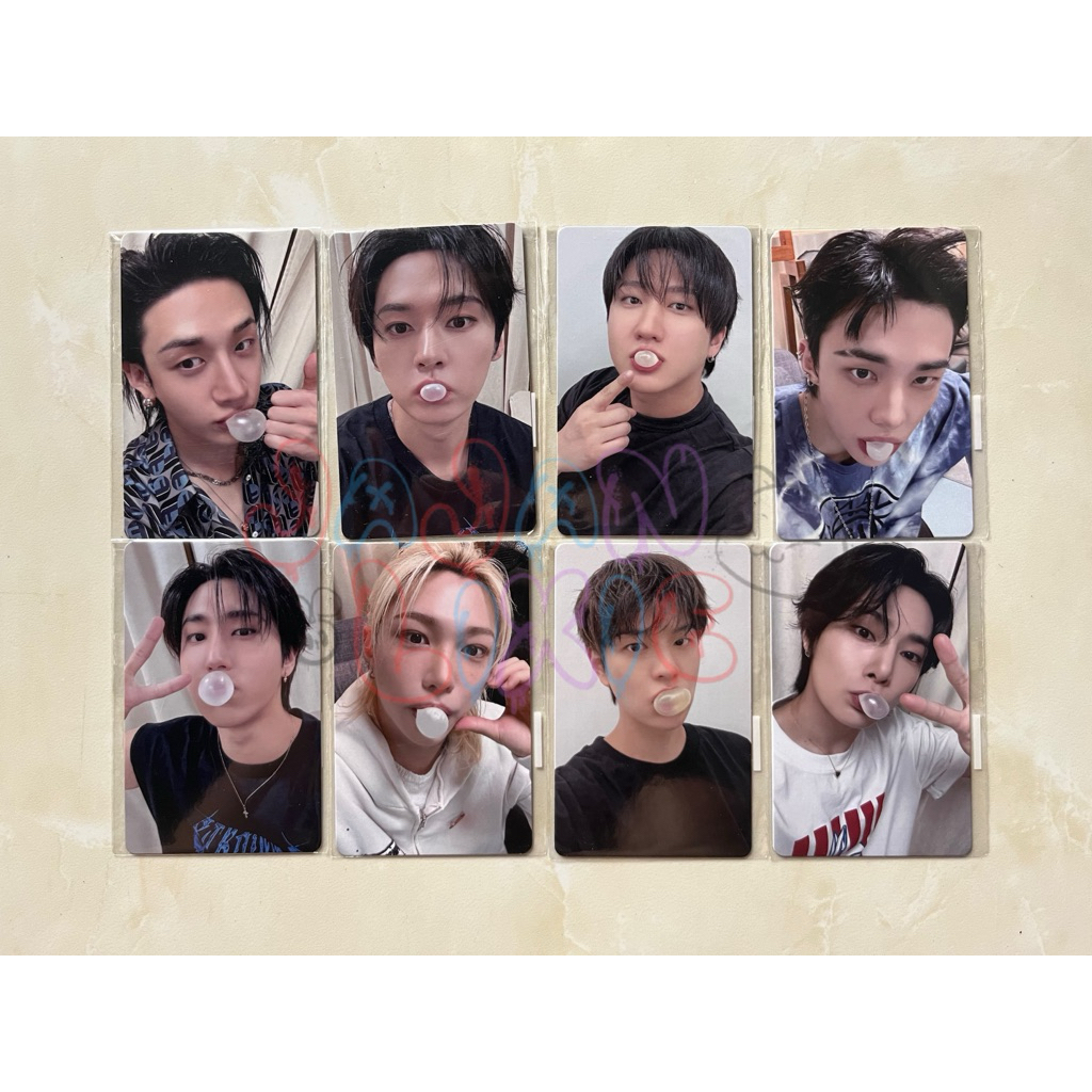 (OFFICIAL) Stray kids fans shop video call event photocard