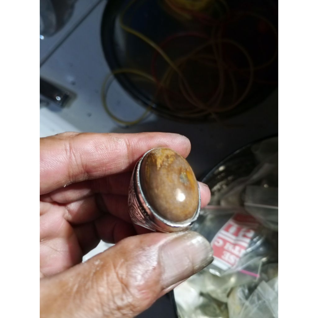 Batu fosil kayu Jati Jumbo