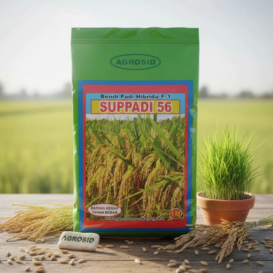 Benih Padi Supadi SUPPADI 56 Hibrida F1 Original Agrosid