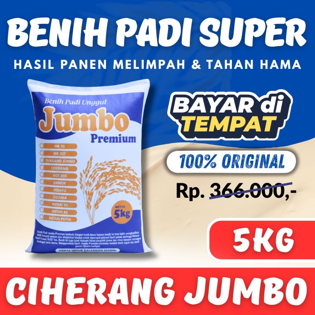 Bibit Padi Ciherang Jumbo 5kg Berkualitas