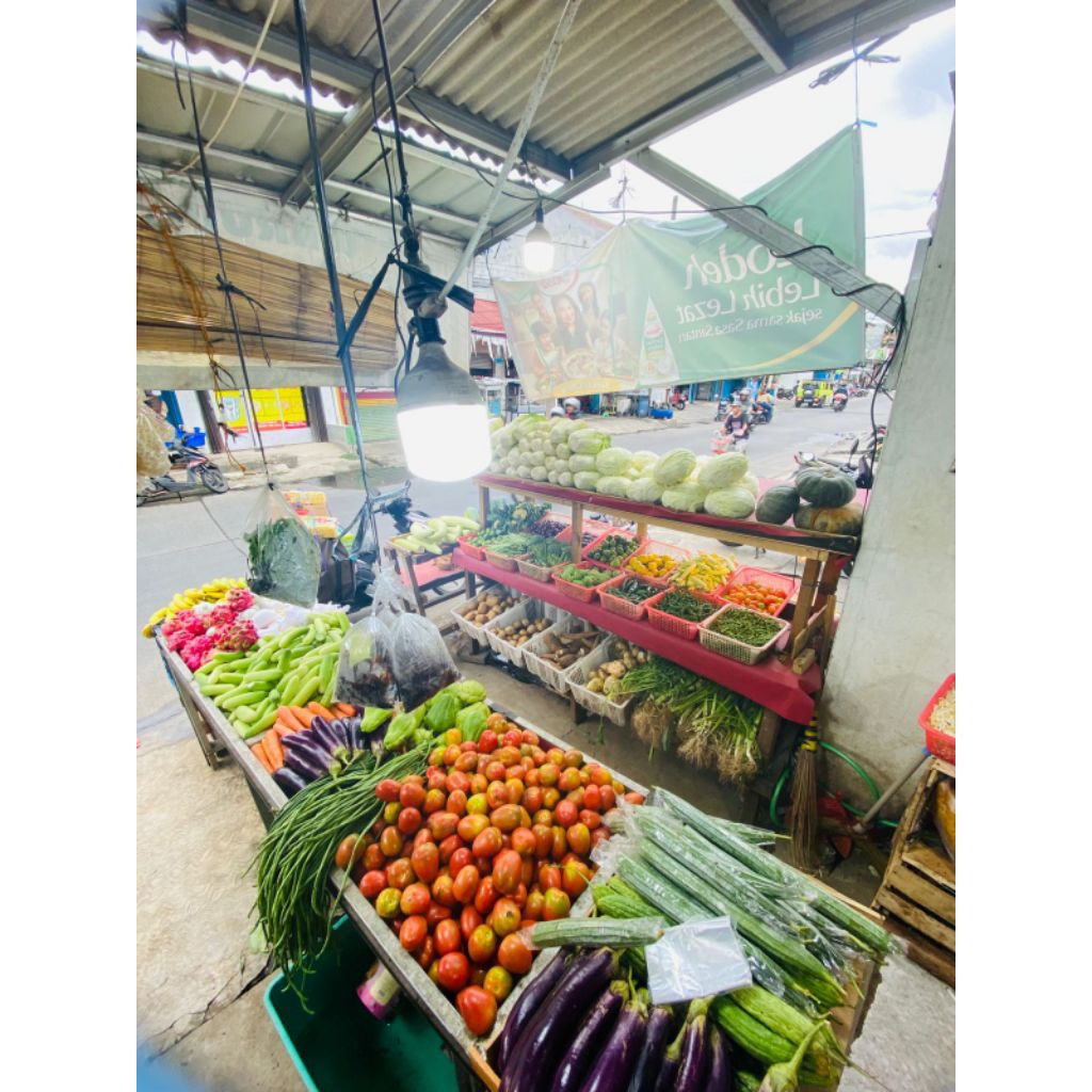 tomat, timun, labu besar, terong ungu, kacang panjang, dan ain lain